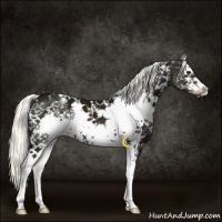 Horse Color:White Spotted Liver Chestnut Ice 