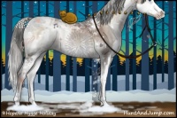 Horse Color:Liver Red Onyx Ice Splash Tobiano Rabicano Brindle 