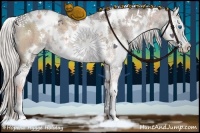 Horse Color:White Spotted Silver Brown Ice Dun Sabino Splash 