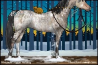 Horse Color:White Spotted Brown Ice Dun