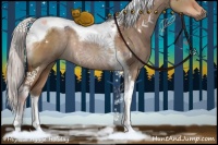 Horse Color:Silver Brown Dun Sabino Tobiano Rabicano