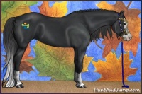 Horse Color:Black Splash 