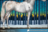 Horse Color:White Spotted Liver Red Dun Ice Pearl Onyx Brindle 