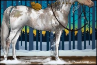 Horse Color:White Spotted Liver Red Dun Rabicano