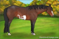 Horse Color:Brown Roan Frame 