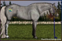 Horse Color:Silver Blue Roan 