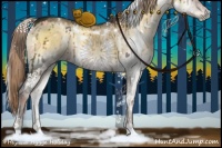Horse Color:White Spotted Chocolate Palomino Onyx Rabicano 