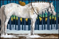 Horse Color:White Spotted Chocolate Palomino Ice Onyx Sabino Rabicano