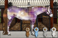 Horse Color:Painted Plaid  White Spotted Liver Red Onyx 