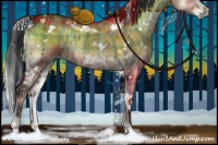 Horse Color:Plaid  White Spotted Bay Onyx Rabicano 