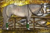 Horse Color:White Spotted Chocolate Palomino Roan Rabicano