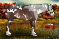 Horse Color:White Spotted Liver Chestnut Sabino 