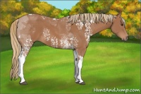 Horse Color:White Spotted Chestnut Tobiano 