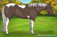 Horse Color:Silver Black Tobiano 