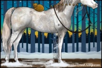 Horse Color:White Spotted Liver Red Dun Ice Pearl Splash 