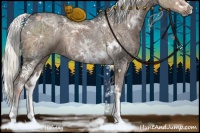 Horse Color:White Spotted Liver Chestnut Ice Splash Rabicano