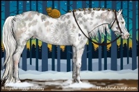 Horse Color:White Spotted Liver Red Dun Ice Mushroom Sabino Leopard Rabicano