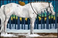 Horse Color:White Spotted Liver Red Dun Ice Pearl Onyx Splash