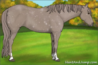 Horse Color:Watercolor Liver Chestnut Sabino 