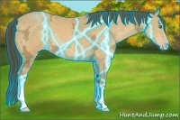 Horse Color:Thunderstruck Amber Cream Champagne Ice 
