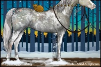 Horse Color:White Spotted Chocolate Silver Grullo Chinchilla Ice Sabino