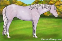 Horse Color:Watercolor Palomino Pearl 