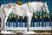 Horse Color:White Spotted Liver Red Dun Ice 