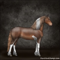 Horse Color:Liver Chestnut Tobiano