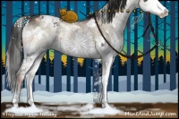 Horse Color:White Spotted Liver Red Dun Ice Onyx Sabino Splash 