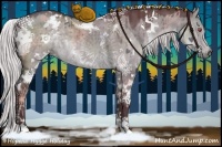 Horse Color:White Spotted Chocolate Silver Grullo Chinchilla
