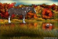 Horse Color:White Spotted Liver Chestnut Rabicano