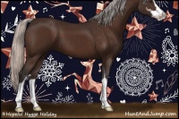 Horse Color:Silver Brown Sabino 