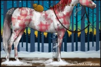 Horse Color:Plaid White Spotted Brown Dun