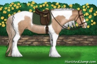 Horse Color:Liver Chestnut Pearl Tobiano Rabicano