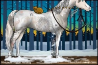 Horse Color:Perlino Dun Tobiano Appaloosa 