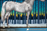 Horse Color:White Spotted Chocolate Silver Brown Chinchilla Ice Dun Brindle