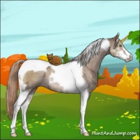 Horse Color:Liver Red Dun Ice Sabino Tobiano