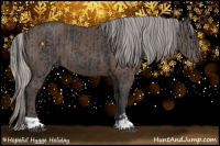 Horse Color:Black  and Silver Black 