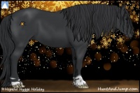 Horse Color:Black  and Black 