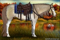 Horse Color:White Spotted Chocolate Palomino Roan Dun 