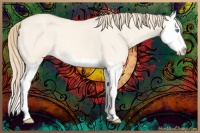 Horse Color:Perlino Dun Splash 