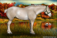 Horse Color:White Spotted Chocolate Palomino Pearl Sabino Rabicano
