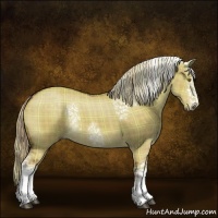 Horse Color:Plaid  White Spotted Chocolate Palomino Dun Rabicano 