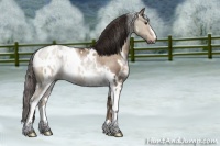 Horse Color:White Spotted Liver Red Dun Rabicano 