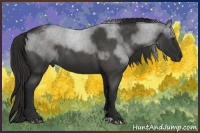 Horse Color:Liver Red Roan 