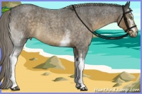 Horse Color:White Spotted Chocolate Palomino Roan 