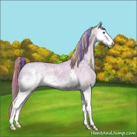 Horse Color:Painted Plaid  White Spotted Red Dun Ice Sabino Splash 