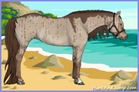 Horse Color:Liver Red Dun Roan Brindle 