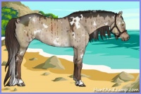 Horse Color:White Spotted Liver Red Dun Brindle 