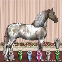 Horse Color:White Spotted Liver Red Dun Rabicano 